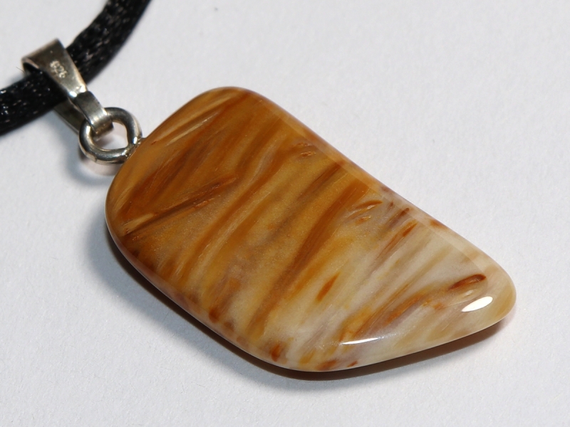 petrified palm wood with cord or silver 925