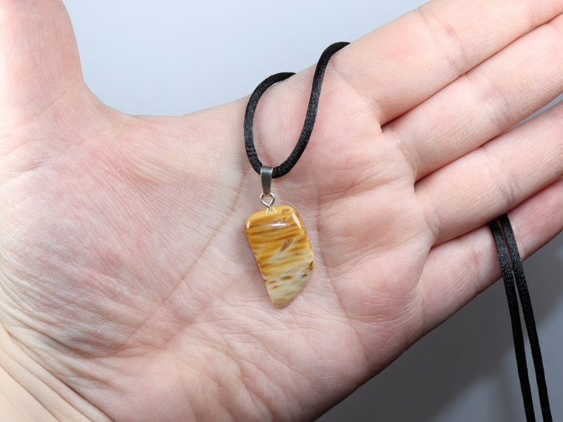 petrified palm wood with cord or silver 925