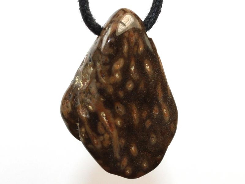 Petrified palm wood on cord