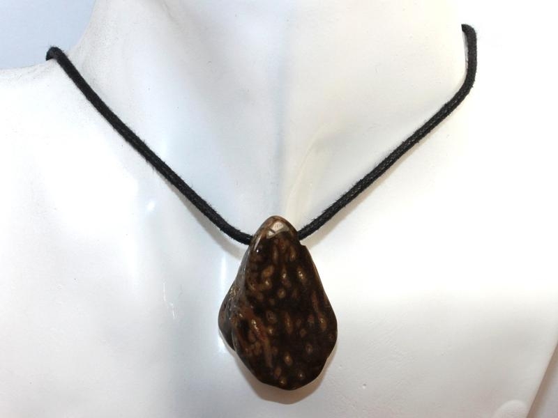 Petrified palm wood on cord