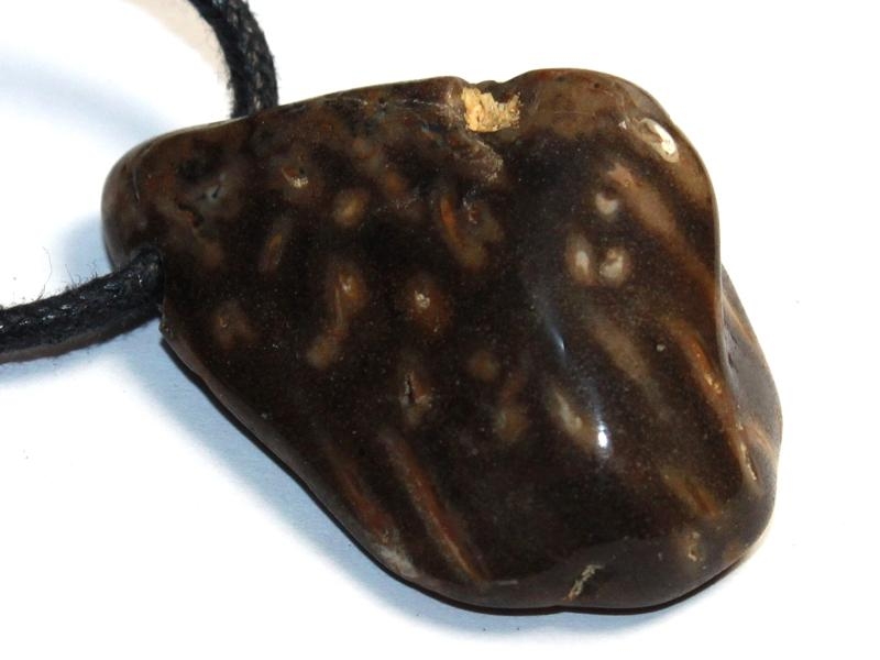 Petrified palm wood on cord