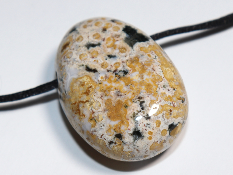 Ozeanjaspis mit Band oder Silber 925