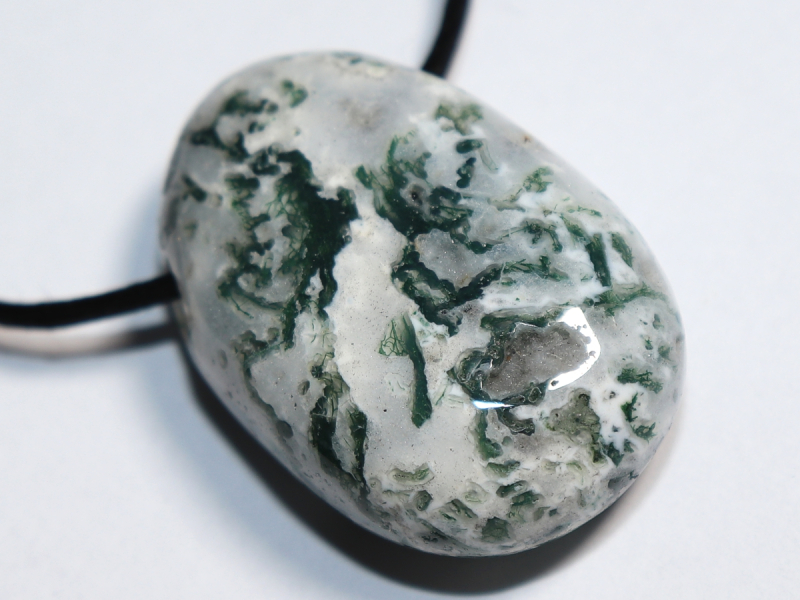 tree agate with cord or silver 925