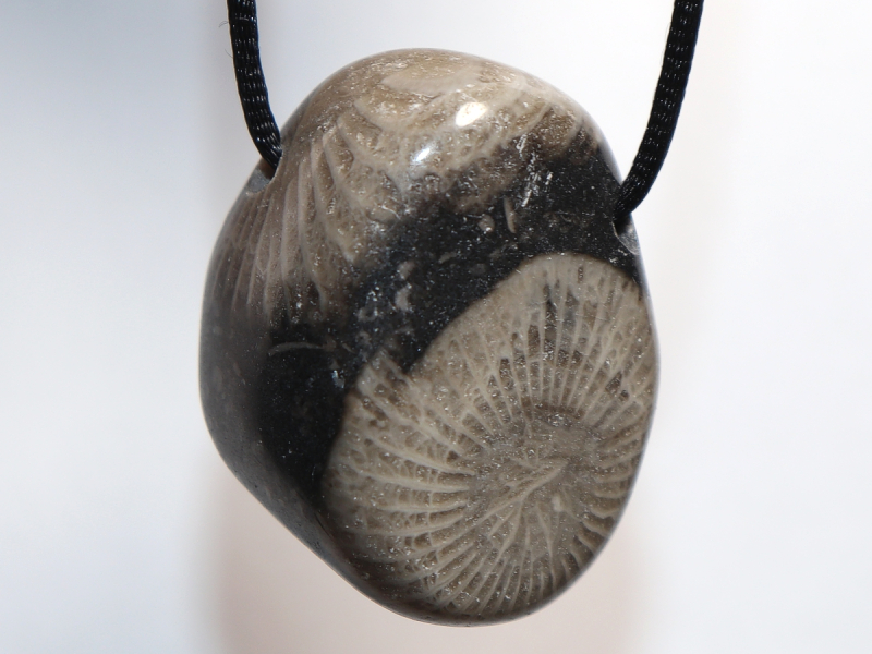 Frosterley-Marble mit Band oder Silber 925
