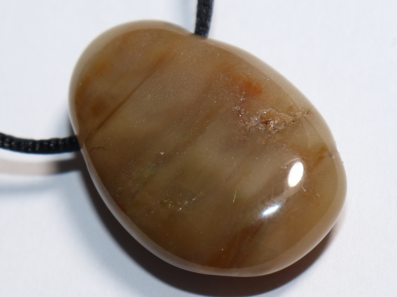 versteinertes Holz mit Band oder Silber 925