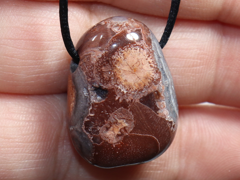 bird's eye jasper with cord or silver 925
