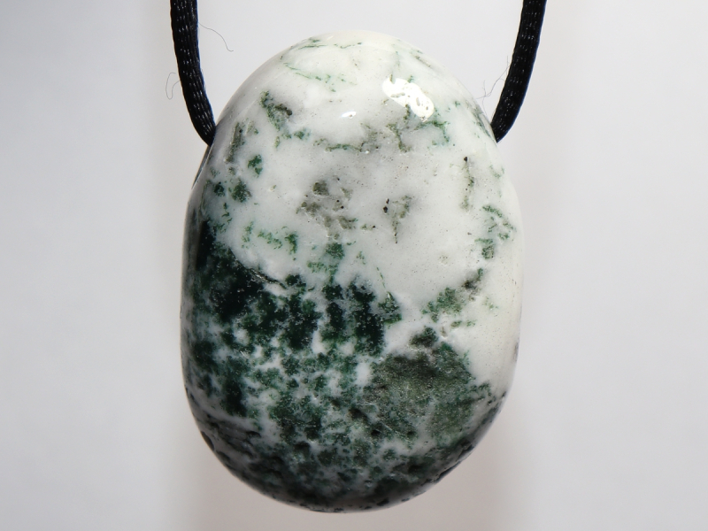 tree agate with cord or silver 925