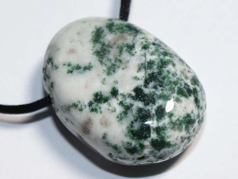 tree agate with cord or silver 925