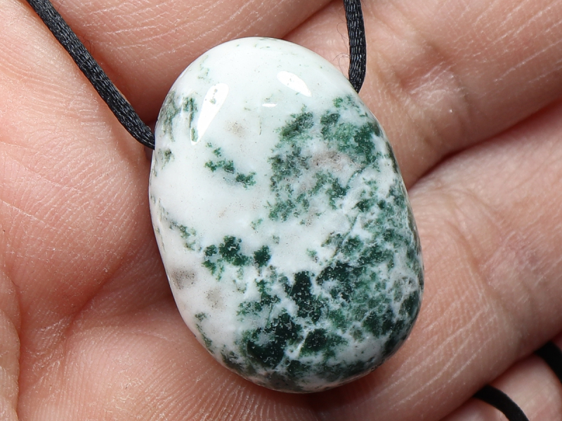 tree agate with cord or silver 925