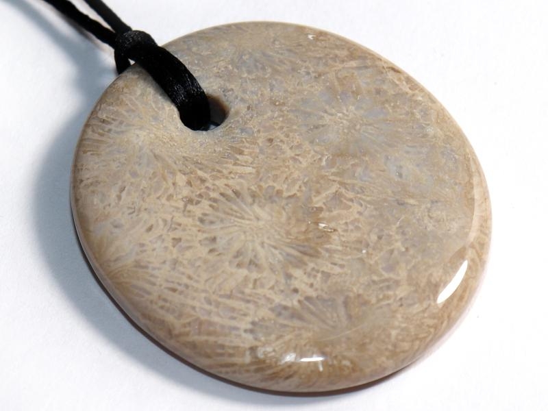 Fossilized coral on cord