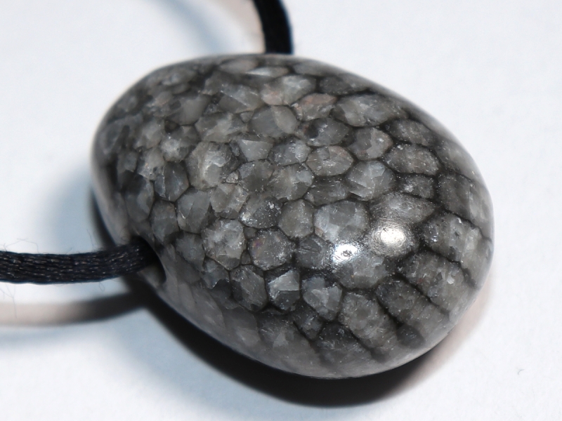 gray coral with cord or silver 925