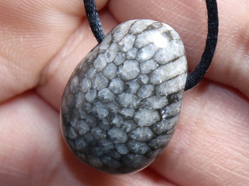 gray coral with cord or silver 925