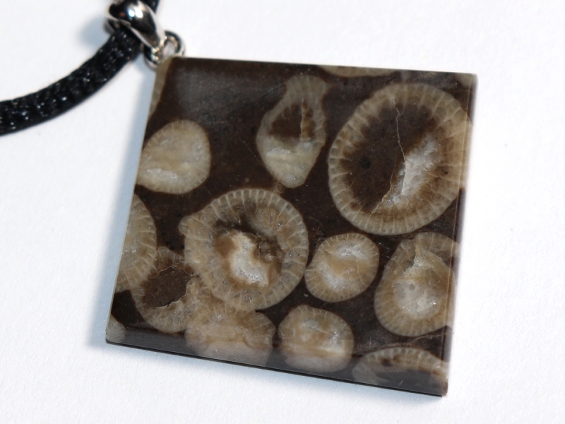 fossilized coral with cord or silver 925
