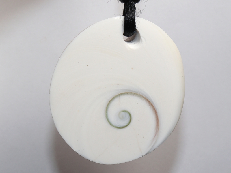 operculum with cord