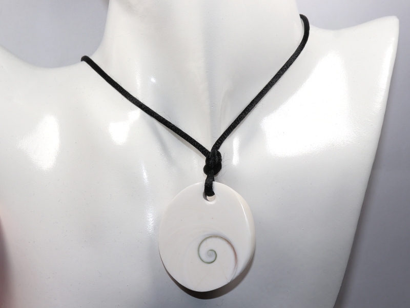 operculum with cord