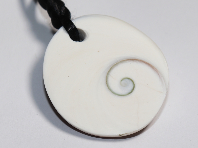 operculum with cord