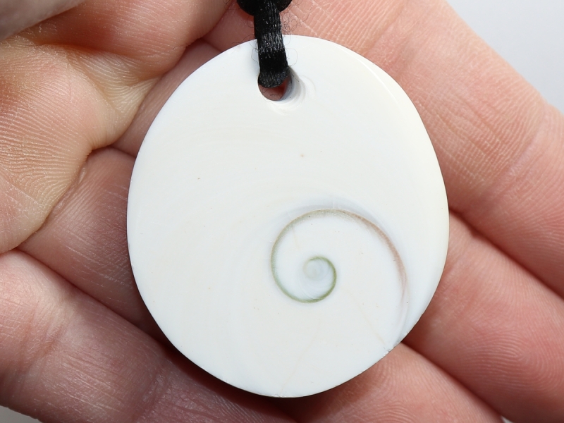 operculum with cord