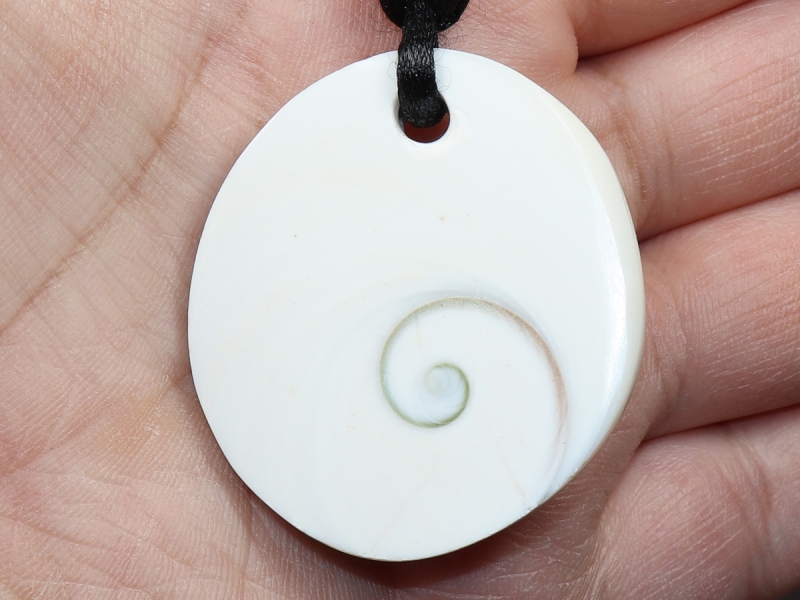 operculum with cord
