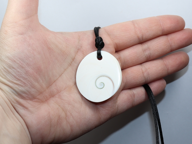 operculum with cord