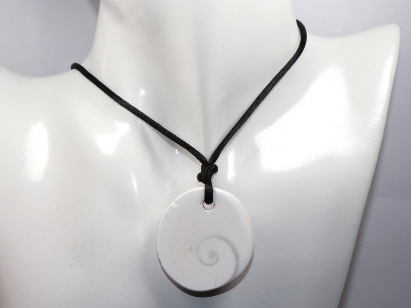 operculum with cord