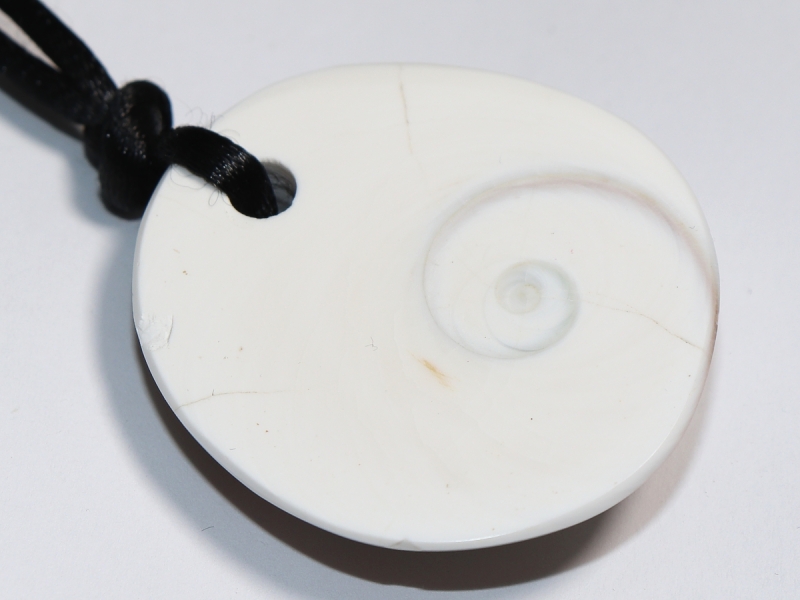 operculum with cord