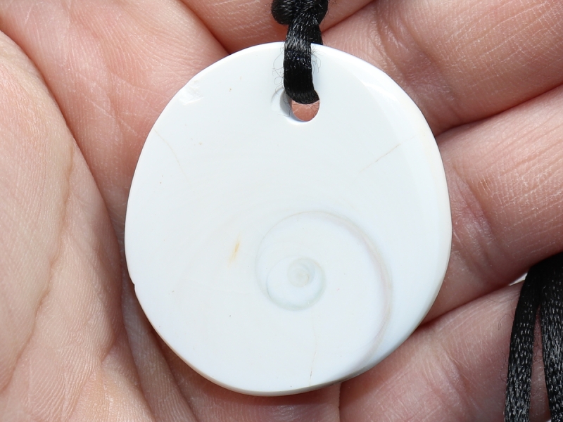 operculum with cord