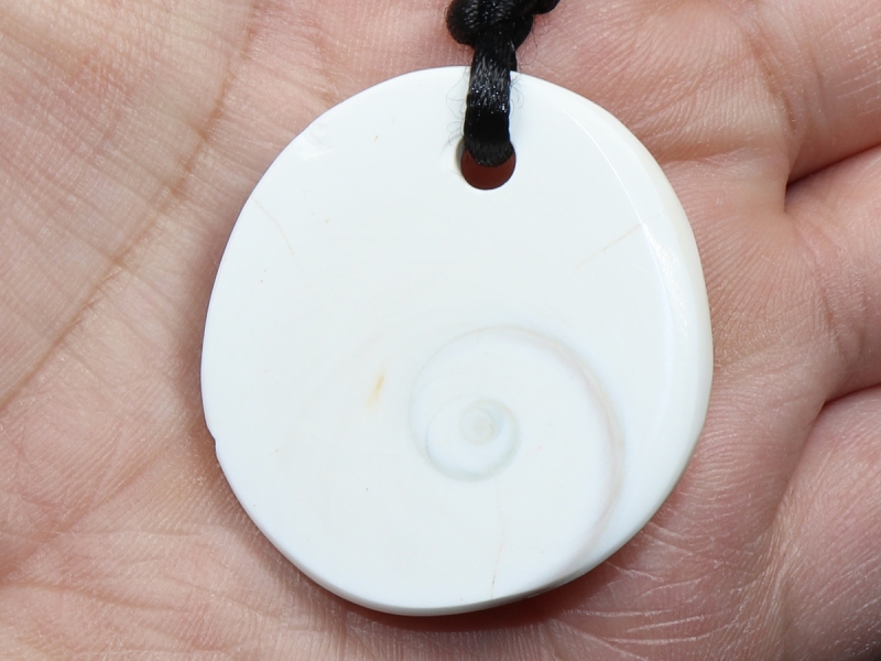 operculum with cord