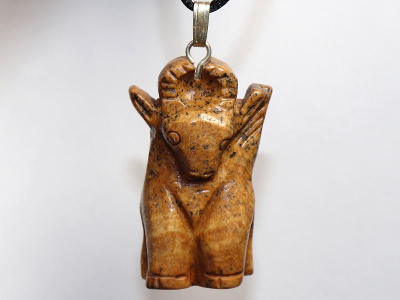 picture jasper with cord or silver 925