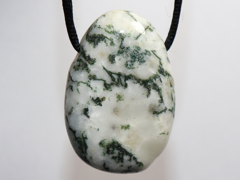 tree agate with cord or silver 925