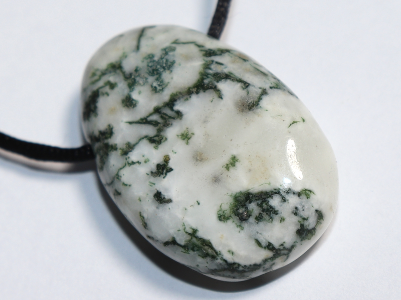 tree agate with cord or silver 925