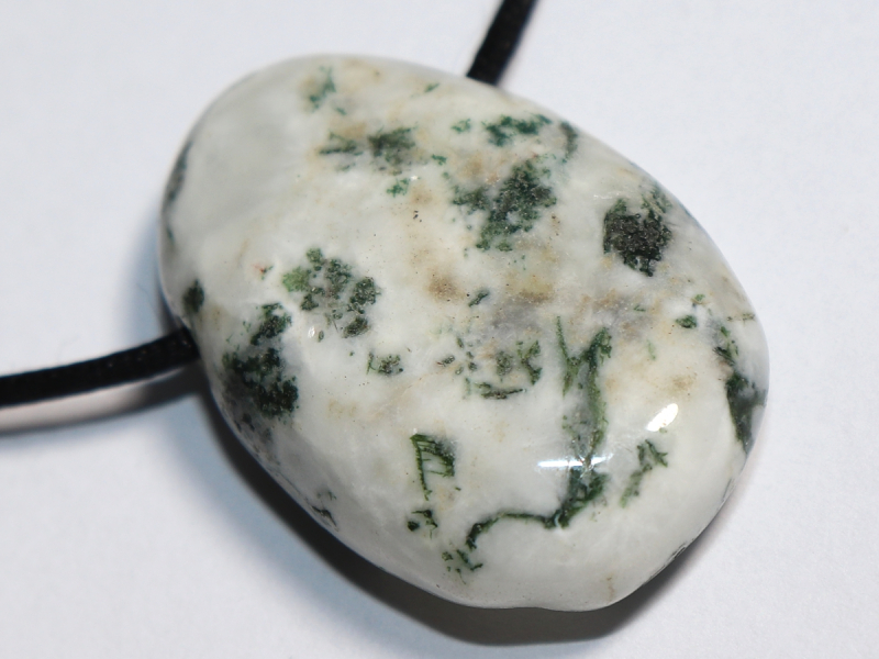 tree agate with cord or silver 925