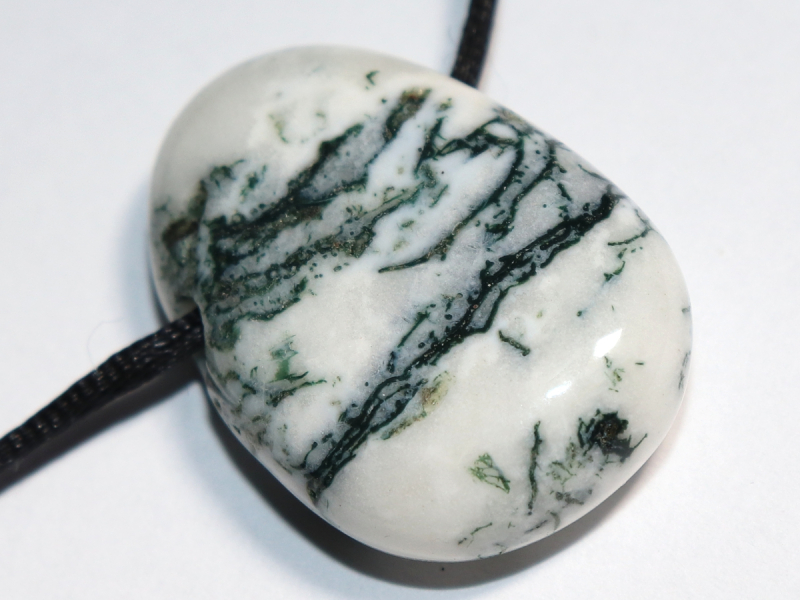 tree agate with cord or silver 925