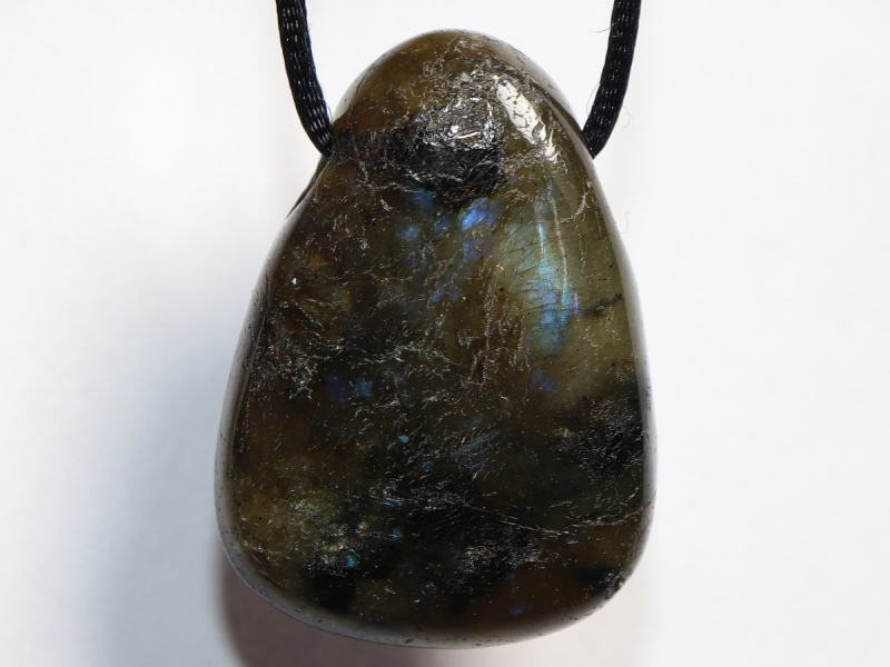 Stromatolith mit Band oder Silber 925