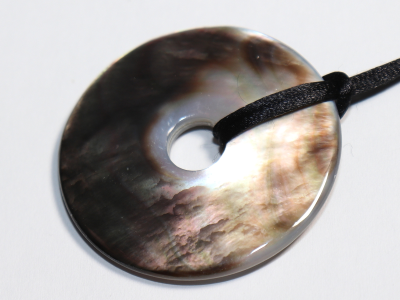 abalone shell with cord