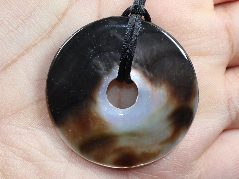 abalone shell with cord