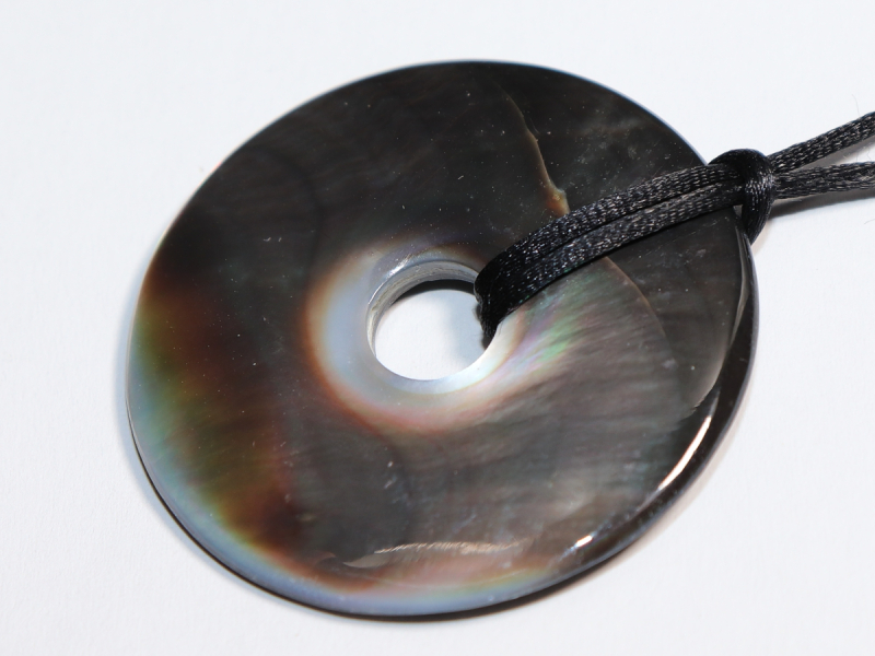 abalone shell with cord