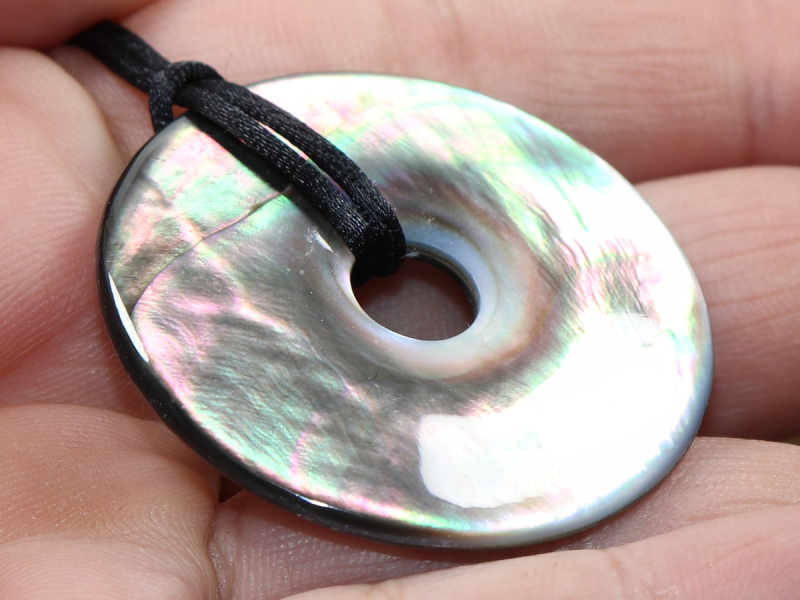 abalone shell with cord