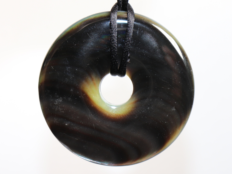 abalone shell with cord