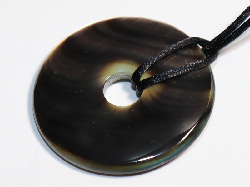 abalone shell with cord