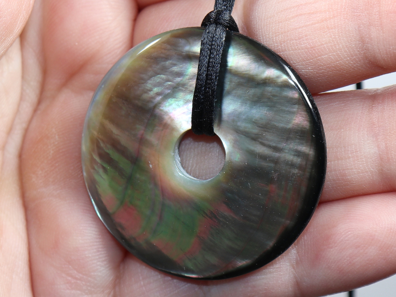 abalone shell with cord