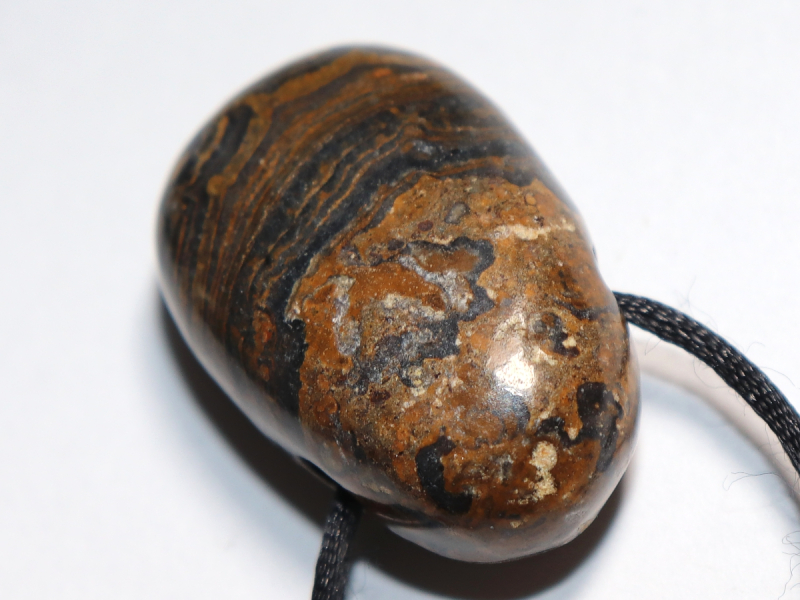 Stromatolith mit Band oder Silber 925
