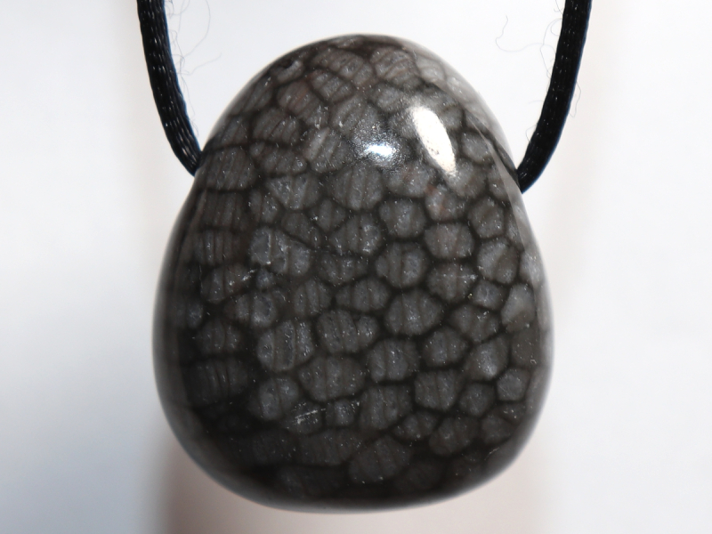 gray coral with cord or silver 925