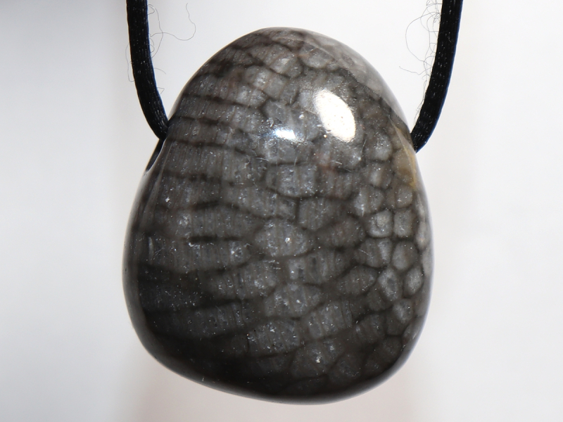 gray coral with cord or silver 925