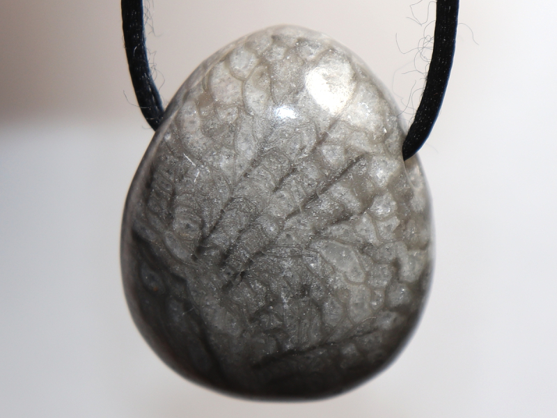 gray coral with cord or silver 925