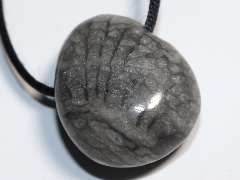 gray coral with cord or silver 925