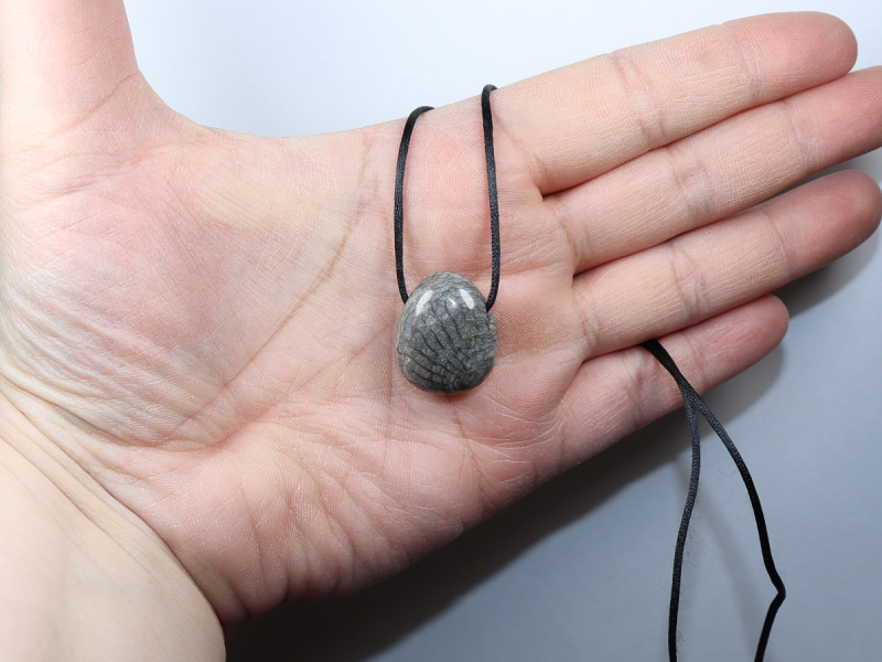 gray coral with cord or silver 925