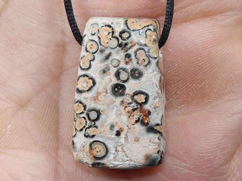 leopard rhyolite with cord or silver 925