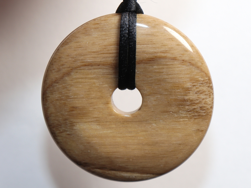 versteinertes Holz mit Band