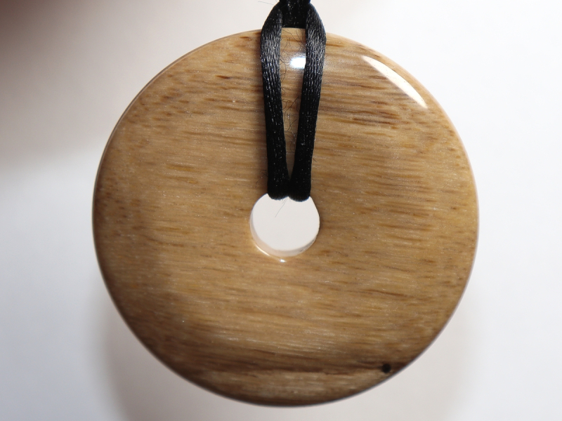 versteinertes Holz mit Band