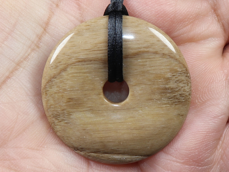 versteinertes Holz mit Band